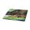 Kit Arqueologico Clementoni Estegossauro 21 cm AR