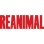 Jeu PC THQ Nordic Reanimal Édition Standard Coopératif Horreur