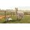 Jogo Giants Software Farming Simulator 25 Beans & Alpacas Edition Xbox Series X