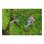Sierra Curva GARDENA Combisystem 300 PP Hoja 315 mm Corte a 5 m