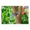 Sierra Curva GARDENA Combisystem 300 PP Hoja 315 mm Corte a 5 m