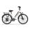 Velo electrique URLIFE E26 250 W 48 V 10,4 Ah, roues de 26 pouces