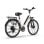 Velo electrique URLIFE E26 250 W 48 V 10,4 Ah, roues de 26 pouces
