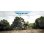 Velo electrique Engwe E26 ST 48V 16Ah Shimano 7 vitesses