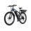 Elektrofahrrad DUOTTS C29-K 750 W Doppelbatterie