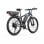 Elektrofahrrad DUOTTS C29-K 750 W Doppelbatterie