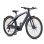 Vélo Électrique ENGWE N1 Pro Moteur 250 W Batterie 36V 10Ah Gris