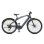 Vélo Électrique ENGWE N1 Pro Moteur 250 W Batterie 36V 10Ah Gris