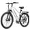 E-Bike Bekup V2 250 W 36 V 14,5 Ah 26 Zoll Schwarz