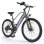 Vélo électrique HillMilES MileTrail 1 250W 36V 13Ah 26'' pneus montagne