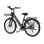 Elektrische fiets E-Bycco V1 250 W 36 V 15,6 Ah Zwart tot 90 km