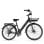 Elektrische fiets E-Bycco V1 250 W 36 V 15,6 Ah Zwart tot 90 km