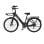 Elektrische fiets E-Bycco V1 250 W 36 V 15,6 Ah Zwart tot 90 km