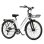 Bicicleta Eléctrica E-Bycco V1 250 W Batería 36 V 15,6 Ah Autonomía 45-90 km