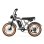 Bicicleta Eléctrica PVY A20 Motor 250W Batería 48V 20Ah Autonomía 80 km 20"