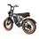 Bicicleta Eléctrica PVY A20 Motor 250W Batería 48V 20Ah Autonomía 80 km 20"