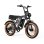 Bicicleta Eléctrica PVY A20 Motor 250W Batería 48V 20Ah Autonomía 80 km 20"