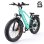 Elektrradfahrrad ENGWE E26 26 Zoll Fat Tire Grün