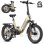 Vélo électrique ENGWE L20 3.0 Pro pliable 20" moteur central 250W 140km