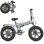 Vélo électrique ENGWE EP-2 BOOST 250W 48V 13Ah 120km 20 pouces pliable