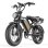 Elektrofahrrad Headeer BK20 20" Motor 250 W Akku 48 V Reichweite 80 km