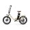 Vélo électrique OneSport OT16-2 pliable 250W batterie 48V 17Ah 20 pouces
