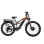 Vélo électrique Puluma PE86 Pro Double Moteur 500 W Batterie 48 V 20 Ah 26"