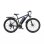 Velo electrique DUOTTS C29M 750 W 48 V 15 Ah 27,5 pouces