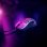 Mouse Niceboy ORYX M666 Daemon USB 10000 DPI Nero Grigio Gaming 6 Pulsanti