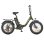 Vélo électrique pliant HillMilES Dolphin 20 pouces vert 36 V 13 Ah 250 W