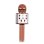 Microphone karaoké Dam Electronics multifonction Bluetooth avec haut-parleur