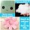 Poulpe Paul Emoticon 20 cm reversible