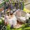 Maquette 3D Dam Electronics Maison de the de jardin aux roses 29x20x17,8 cm