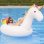 Flotteur Dam Electronics Licorne Gonflable 250x110cm