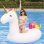 Flotteur Dam Electronics Licorne Gonflable 250x110cm