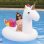 Flotteur Dam Electronics Licorne Gonflable 250x110cm
