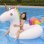 Flotteur Dam Electronics Licorne Gonflable 250x110cm