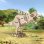 Puzzle 3D Dam Electronics Nadera T. rex 67 pièces en bois