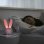 Réveil enfant Dam Electronics Lapin lumineux rechargeable