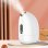 Vaporisateur Facial Z16 Dam Electronics Spray Chaud/Froid 200ml