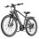 Bicicletta elettrica Toofly T8 250 W 48 V 10 Ah 26 pollici