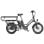 Bicicleta Eléctrica Fafrees FF20 CUV 250W Doble Batería 48V 15Ah 20" Gris