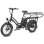 Velo Elettrico FAFREES FF20 CUV - Doppia Batteria 48V 12Ah