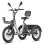 Triciclo Eléctrico Fafrees F20 Mate II 250W 48V 25Ah 20"