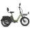 Triciclo Eléctrico Fafrees F20 Mate II 250W 48V 21Ah Frenos Hidráulicos 20" Verde