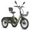 Triciclo Eléctrico Fafrees F20 Mate II 250 W 48 V 25 Ah 20" Verde