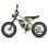 Bicicleta elétrica Fafrees F20 Ultra 48 V 25 Ah 45 km/h verde
