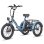 Bicicletta elettrica FAFREES F20 Mate 250W 48V 20Ah