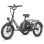 Bicicletta Elettrica FAFREES F20 Mate 250W Batteria 48V 20Ah