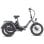 Bicicletta Elettrica FAFREES F20 Mate 250W Batteria 48V 20Ah
